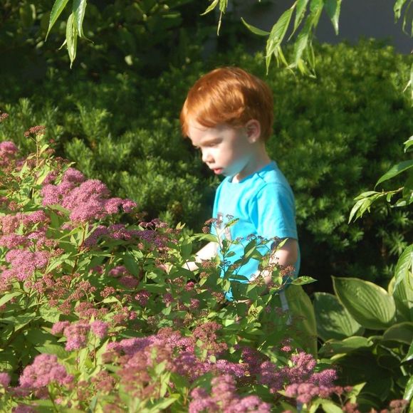 Meet your Posher, Adele - Picture 1 of 1